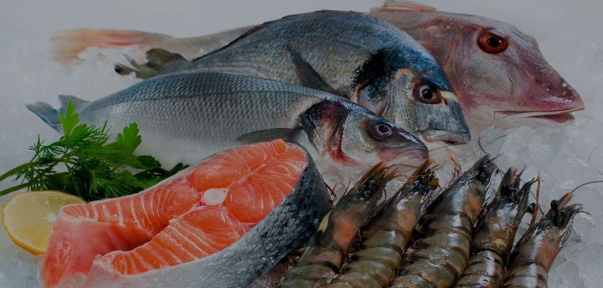 Fresh from the Harbor, Straight to Your Home.